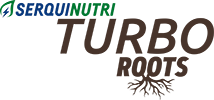 Turbo Roots