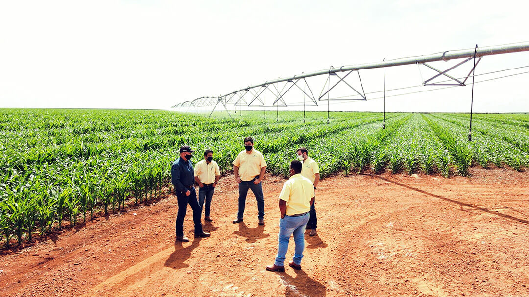 Engenharia de aplicações e resultados