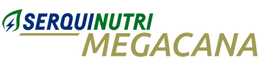 Megacana
